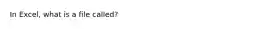 In Excel, what is a file called?