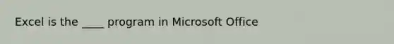 Excel is the ____ program in Microsoft Office