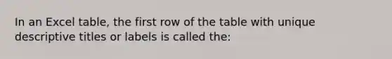 In an Excel table, the first row of the table with unique descriptive titles or labels is called the: