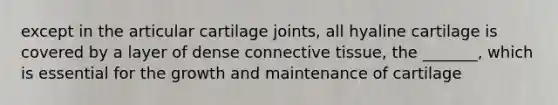 except in the articular cartilage joints, all hyaline cartilage is covered by a layer of dense connective tissue, the _______, which is essential for the growth and maintenance of cartilage