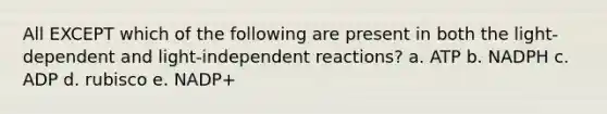 All EXCEPT which of the following are present in both the light-dependent and light-independent reactions? a. ATP b. NADPH c. ADP d. rubisco e. NADP+