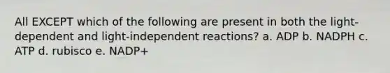 All EXCEPT which of the following are present in both the light-dependent and light-independent reactions? a. ADP b. NADPH c. ATP d. rubisco e. NADP+