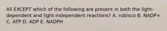 All EXCEPT which of the following are present in both the light-dependent and light-independent reactions? A. rubisco B. NADP+ C. ATP D. ADP E. NADPH