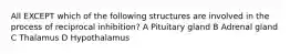 All EXCEPT which of the following structures are involved in the process of reciprocal inhibition? A Pituitary gland B Adrenal gland C Thalamus D Hypothalamus