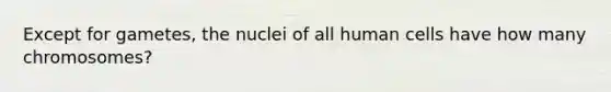 Except for gametes, the nuclei of all human cells have how many chromosomes?