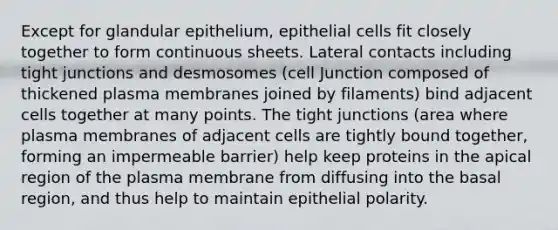 Except for glandular epithelium, epithelial cells fit closely together to form continuous sheets. Lateral contacts including tight junctions and desmosomes (cell Junction composed of thickened plasma membranes joined by filaments) bind adjacent cells together at many points. The tight junctions (area where plasma membranes of adjacent cells are tightly bound together, forming an impermeable barrier) help keep proteins in the apical region of the plasma membrane from diffusing into the basal region, and thus help to maintain epithelial polarity.