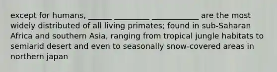 except for humans, ______ _________ ____________ are the most widely distributed of all living primates; found in sub-Saharan Africa and southern Asia, ranging from tropical jungle habitats to semiarid desert and even to seasonally snow-covered areas in northern japan