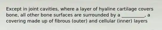 Except in joint cavities, where a layer of hyaline cartilage covers bone, all other bone surfaces are surrounded by a __________, a covering made up of fibrous (outer) and cellular (inner) layers