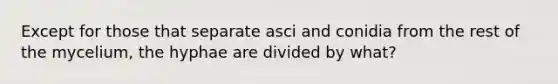 Except for those that separate asci and conidia from the rest of the mycelium, the hyphae are divided by what?