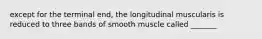 except for the terminal end, the longitudinal muscularis is reduced to three bands of smooth muscle called _______