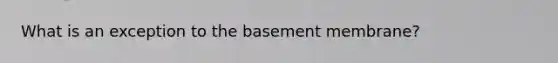 What is an exception to the basement membrane?