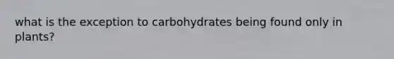 what is the exception to carbohydrates being found only in plants?