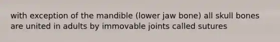 with exception of the mandible (lower jaw bone) all skull bones are united in adults by immovable joints called sutures