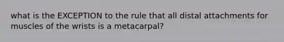 what is the EXCEPTION to the rule that all distal attachments for muscles of the wrists is a metacarpal?