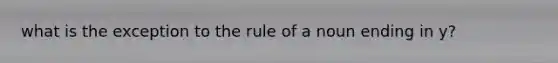 what is the exception to the rule of a noun ending in y?