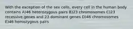 With the exception of the sex cells, every cell in the human body contains A)46 heterozygous pairs B)23 chromosomes C)23 recessive genes and 23 dominant genes D)46 chromosomes E)46 homozygous pairs