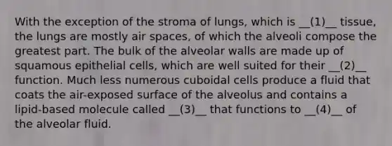 With the exception of the stroma of lungs, which is __(1)__ tissue, the lungs are mostly air spaces, of which the alveoli compose the greatest part. The bulk of the alveolar walls are made up of squamous epithelial cells, which are well suited for their __(2)__ function. Much less numerous cuboidal cells produce a fluid that coats the air-exposed surface of the alveolus and contains a lipid-based molecule called __(3)__ that functions to __(4)__ of the alveolar fluid.