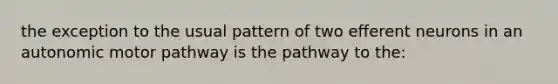 the exception to the usual pattern of two efferent neurons in an autonomic motor pathway is the pathway to the: