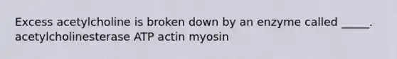 Excess acetylcholine is broken down by an enzyme called _____. acetylcholinesterase ATP actin myosin