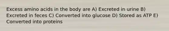 Excess amino acids in the body are A) Excreted in urine B) Excreted in feces C) Converted into glucose D) Stored as ATP E) Converted into proteins