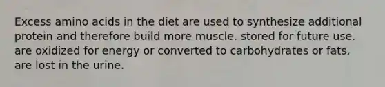 Excess amino acids in the diet are used to synthesize additional protein and therefore build more muscle. stored for future use. are oxidized for energy or converted to carbohydrates or fats. are lost in the urine.