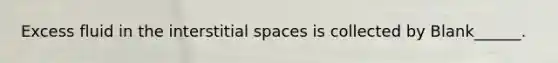 Excess fluid in the interstitial spaces is collected by Blank______.