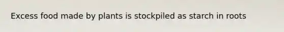 Excess food made by plants is stockpiled as starch in roots