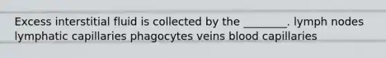 Excess interstitial fluid is collected by the ________. lymph nodes lymphatic capillaries phagocytes veins blood capillaries