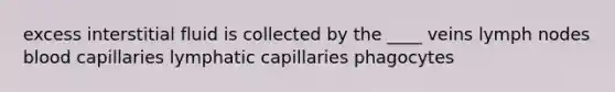 excess interstitial fluid is collected by the ____ veins lymph nodes blood capillaries lymphatic capillaries phagocytes