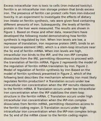 Excess intracellular iron is toxic to cells (iron-induced toxicity). Ferritin is an intracellular iron storage protein that binds excess iron. The presence of ferritin can protect cells from iron-induced toxicity. In an experiment to investigate the effects of dietary iron intake on ferritin synthesis, rats were given food containing different amounts of iron. Subsequently, the levels of ferritin protein in the liver were measured. The results are shown in Figure 1. Based on these and other data, researchers have developed the following model demonstrating how ferritin synthesis is regulated by iron. When iron levels are low, a repressor of translation, iron response protein (IRP), binds to an iron response element (IRE), which is a stem-loop structure near the 5¢ end of ferritin mRNA. When iron levels are high, intracellular iron binds to the IRP, and the iron-IRP complex dissociates from the IRE, permitting ribosomes to proceed with the translation of ferritin mRNA. Figure 2 represents the model of the regulation of ferritin mRNA translation by iron. Figure 2. Model of regulation of ferritin synthesis by iron Based on the model of ferritin synthesis presented in Figure 2, which of the following best describes the mechanism whereby iron most likely regulates ferritin production? A Translation occurs under low intracellular iron concentration when the IRP recruits ribosomes to the ferritin mRNA. B Translation occurs under low intracellular iron concentration when the IRP stabilizes the stem-loop structure in the ferritin mRNA. C Translation occurs under high intracellular iron concentration when the IRP-iron complex dissociates from ferritin mRNA, permitting ribosomes access to the ferritin coding region. D Translation occurs under high intracellular iron concentration when the IRP-iron complex brings the 5¢ end of the mRNA closer to the ferritin coding region.