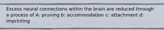 Excess neural connections within the brain are reduced through a process of A: pruning b: accommodation c: attachment d: imprinting