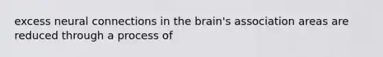 excess neural connections in the brain's association areas are reduced through a process of