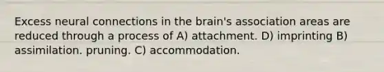 Excess neural connections in the brain's association areas are reduced through a process of A) attachment. D) imprinting B) assimilation. pruning. C) accommodation.