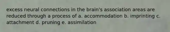 excess neural connections in the brain's association areas are reduced through a process of a. accommodation b. imprinting c. attachment d. pruning e. assimilation