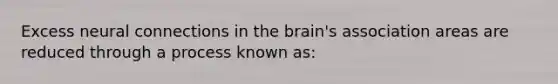 Excess neural connections in the brain's association areas are reduced through a process known as: