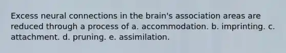 Excess neural connections in <a href='https://www.questionai.com/knowledge/kLMtJeqKp6-the-brain' class='anchor-knowledge'>the brain</a>'s association areas are reduced through a process of a. accommodation. b. imprinting. c. attachment. d. pruning. e. assimilation.