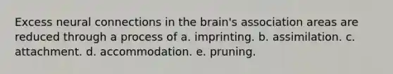 Excess neural connections in the brain's association areas are reduced through a process of a. imprinting. b. assimilation. c. attachment. d. accommodation. e. pruning.