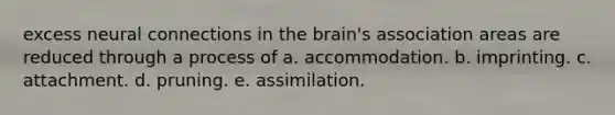 excess neural connections in the brain's association areas are reduced through a process of a. accommodation. b. imprinting. c. attachment. d. pruning. e. assimilation.