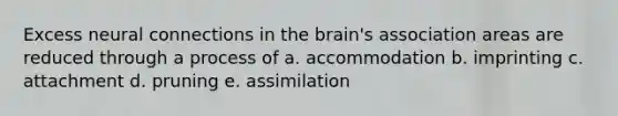 Excess neural connections in the brain's association areas are reduced through a process of a. accommodation b. imprinting c. attachment d. pruning e. assimilation