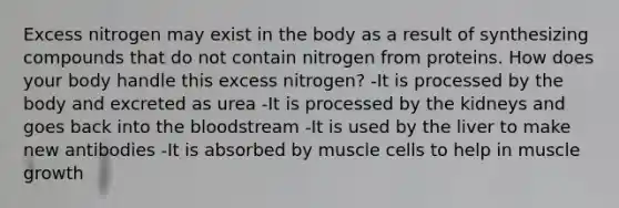 Excess nitrogen may exist in the body as a result of synthesizing compounds that do not contain nitrogen from proteins. How does your body handle this excess nitrogen? -It is processed by the body and excreted as urea -It is processed by the kidneys and goes back into the bloodstream -It is used by the liver to make new antibodies -It is absorbed by muscle cells to help in muscle growth