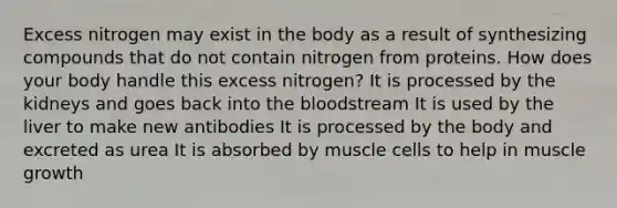 Excess nitrogen may exist in the body as a result of synthesizing compounds that do not contain nitrogen from proteins. How does your body handle this excess nitrogen? It is processed by the kidneys and goes back into the bloodstream It is used by the liver to make new antibodies It is processed by the body and excreted as urea It is absorbed by muscle cells to help in muscle growth