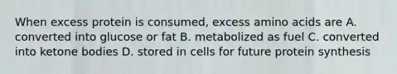 When excess protein is consumed, excess amino acids are A. converted into glucose or fat B. metabolized as fuel C. converted into ketone bodies D. stored in cells for future protein synthesis