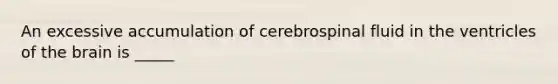 An excessive accumulation of cerebrospinal fluid in the ventricles of <a href='https://www.questionai.com/knowledge/kLMtJeqKp6-the-brain' class='anchor-knowledge'>the brain</a> is _____