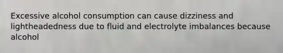 Excessive alcohol consumption can cause dizziness and lightheadedness due to fluid and electrolyte imbalances because alcohol