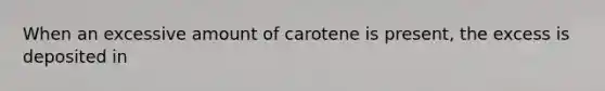 When an excessive amount of carotene is present, the excess is deposited in