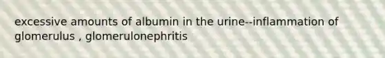 excessive amounts of albumin in the urine--inflammation of glomerulus , glomerulonephritis