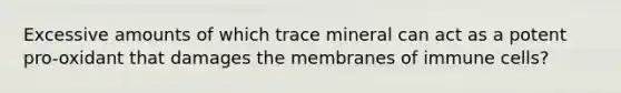 Excessive amounts of which trace mineral can act as a potent pro-oxidant that damages the membranes of immune cells?