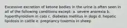 Excessive excretion of ketone bodies in the urine is often seen in all of the following conditions except: a. severe anorexia b. hyperthyroidism in cats c. diabetes mellitus in dogs d. hepatic lipidosis in cattle e. pregnancy toxemia in sheep