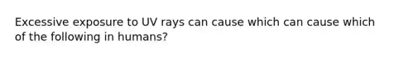 Excessive exposure to UV rays can cause which can cause which of the following in humans?