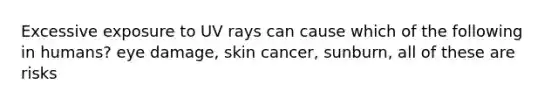 Excessive exposure to UV rays can cause which of the following in humans? eye damage, skin cancer, sunburn, all of these are risks